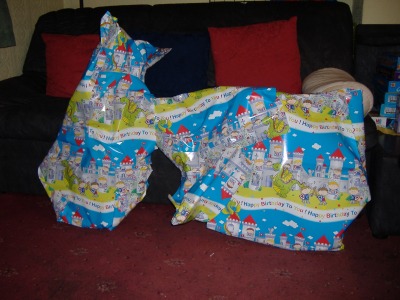A big present from Mummy and Daddy