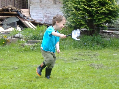 Butterfly hunting