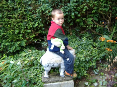 Elephant ride.