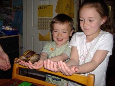 Sam the snail
