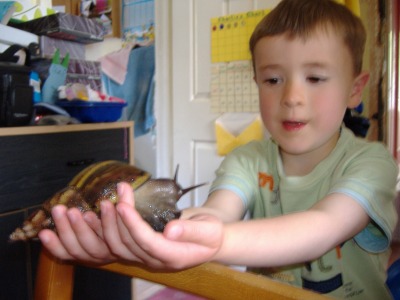 Sam the snail