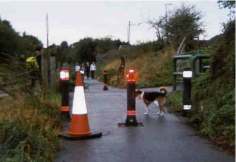 Bollards and dog.