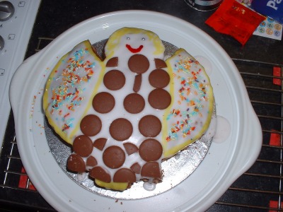 Fairy cake