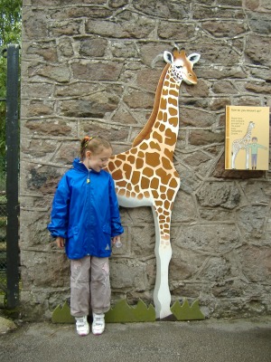 Measuring up