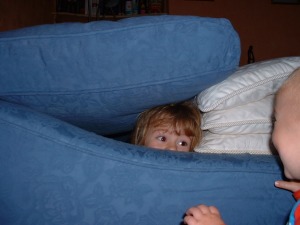 30 October - Building a hiding place